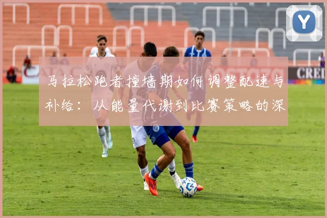 马拉松跑者撞墙期如何调整配速与补给：从能量代谢到比赛策略的深度分析