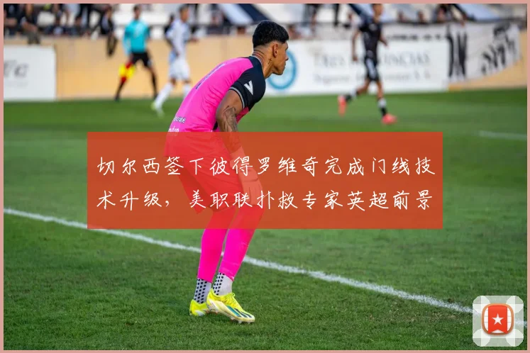 切尔西签下彼得罗维奇完成门线技术升级，美职联扑救专家英超前景几何
