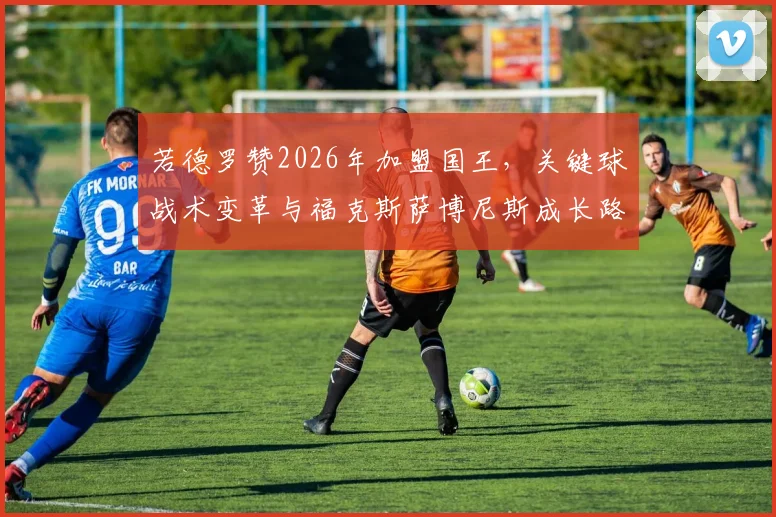 若德罗赞2026年加盟国王,关键球战术变革与福克斯萨博尼斯成长路径分析