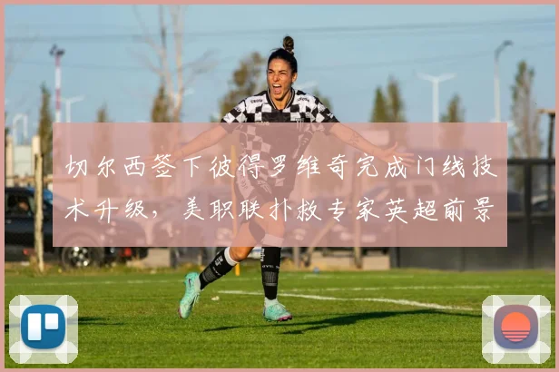切尔西签下彼得罗维奇完成门线技术升级,美职联扑救专家英超前景几何