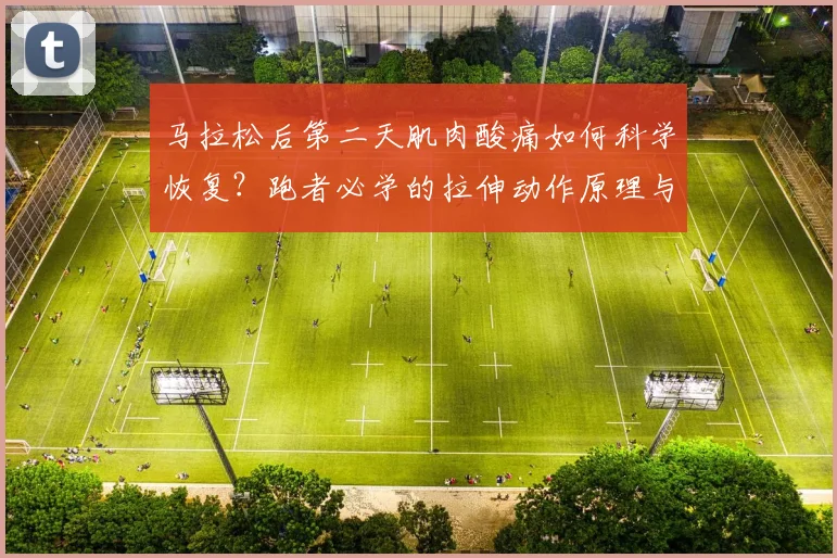 马拉松后第二天肌肉酸痛如何科学恢复？跑者必学的拉伸动作原理与实操指南